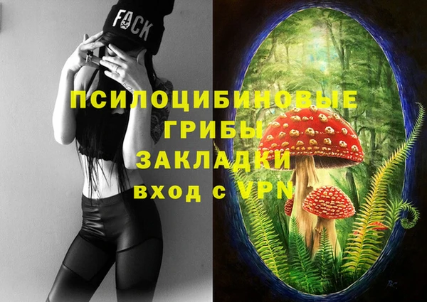 кристаллы Бородино