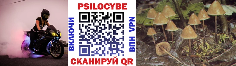 Купить где  Опочка  Галлюциногенные грибы MAGIC MUSHROOMS 